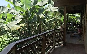 Eco Charlie Hostel